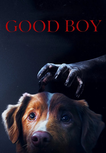 فيلم Good Boy 2025 مترجم