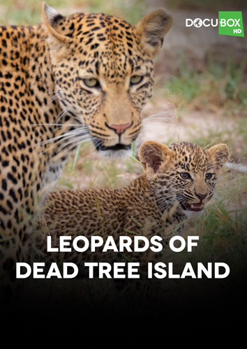 فيلم Leopards of Dead Tree Island 2010 مترجم
