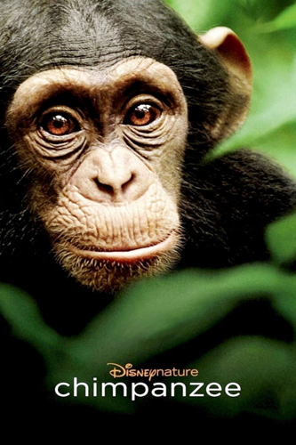 فيلم Chimpanzee 2011 مترجم
